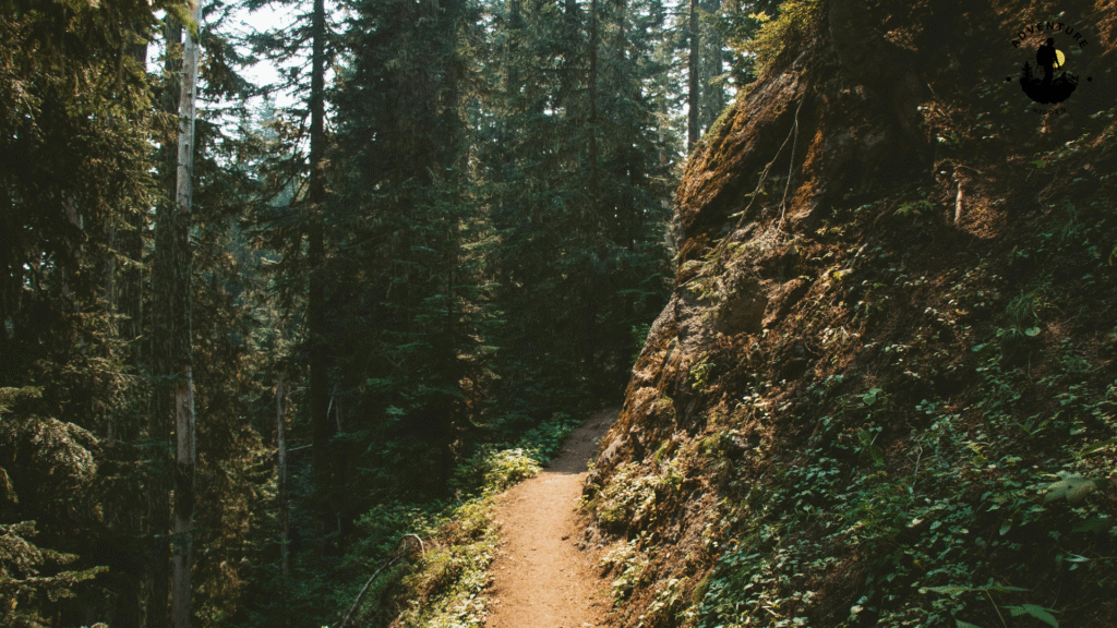 Plan in Advance and Choose Cost-Friendly Trails