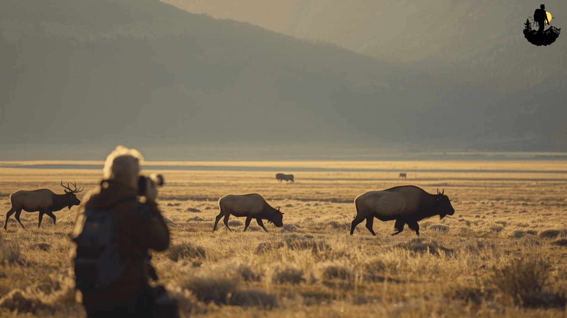 Wildlife Photography in Remote Parks: 12 Tips That Actually Work