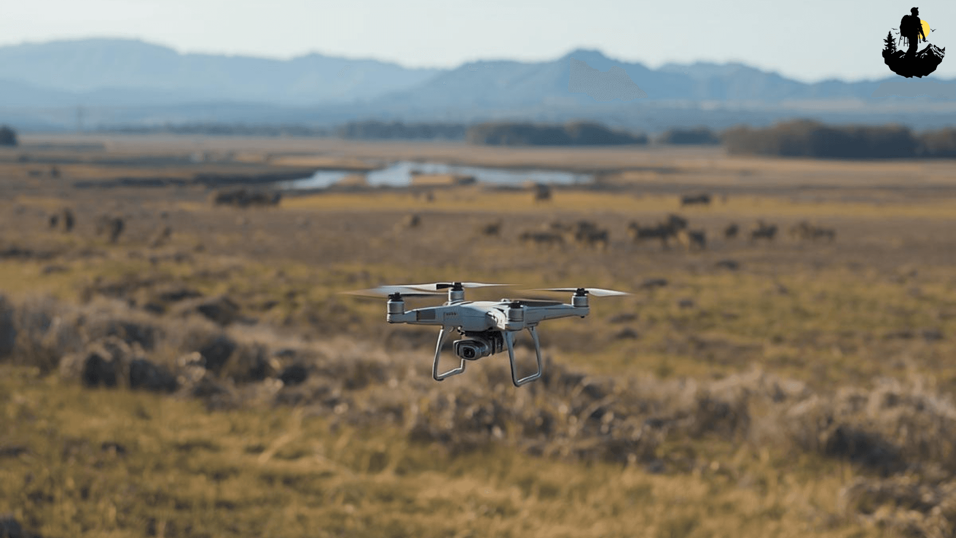 Drone Rules for Nature Spots: What Every Beginner Must Know Before Flying