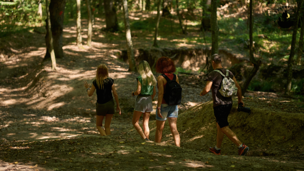 Safety Tips for Hiking Hidden Trails in the USA