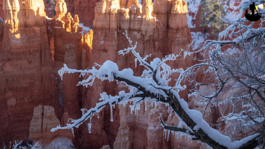 Winter Crystal Formations in Bryce Canyon National Park