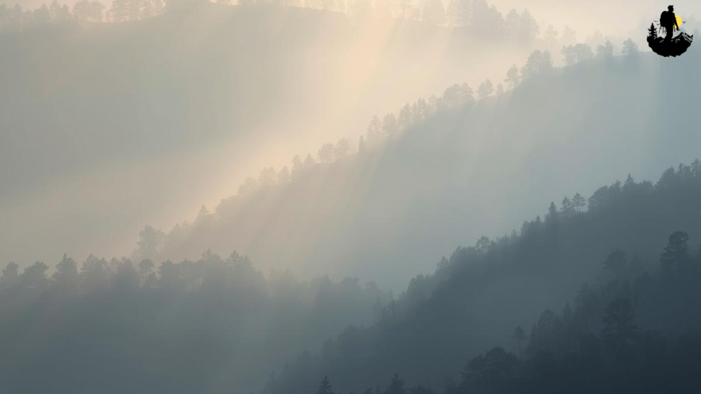 Using Light Creatively in Fog and Mist