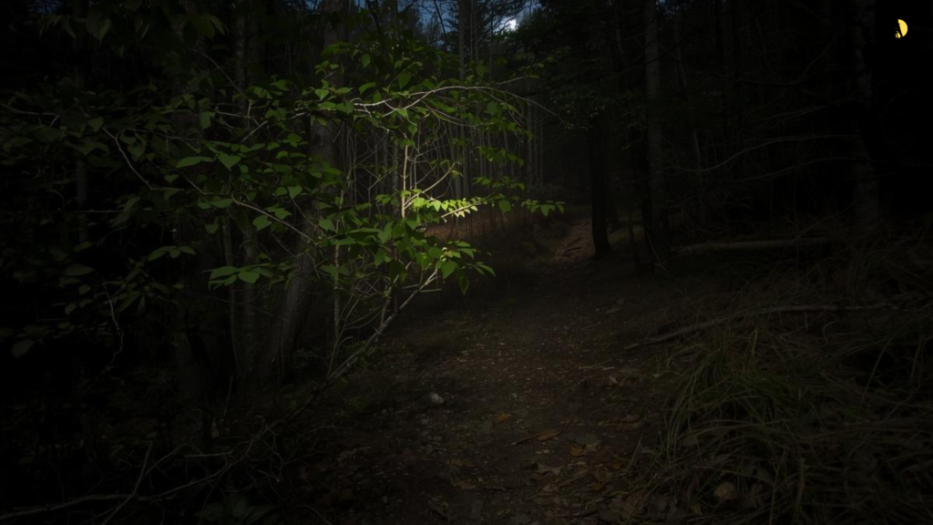 Selecting Safe Hidden Trails Suitable for Night-Hiking