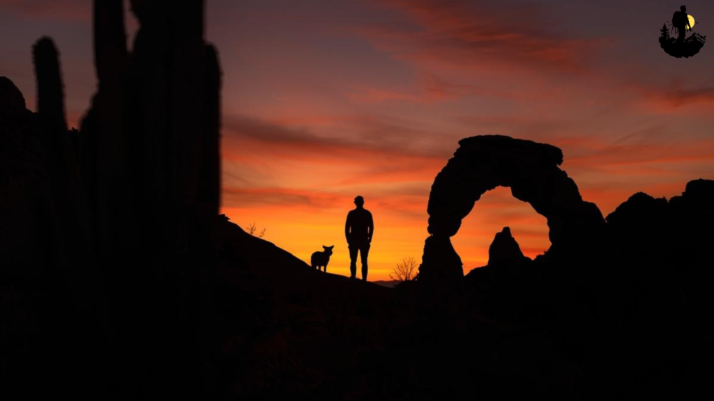 Using Natural Elements to Frame the Silhouette