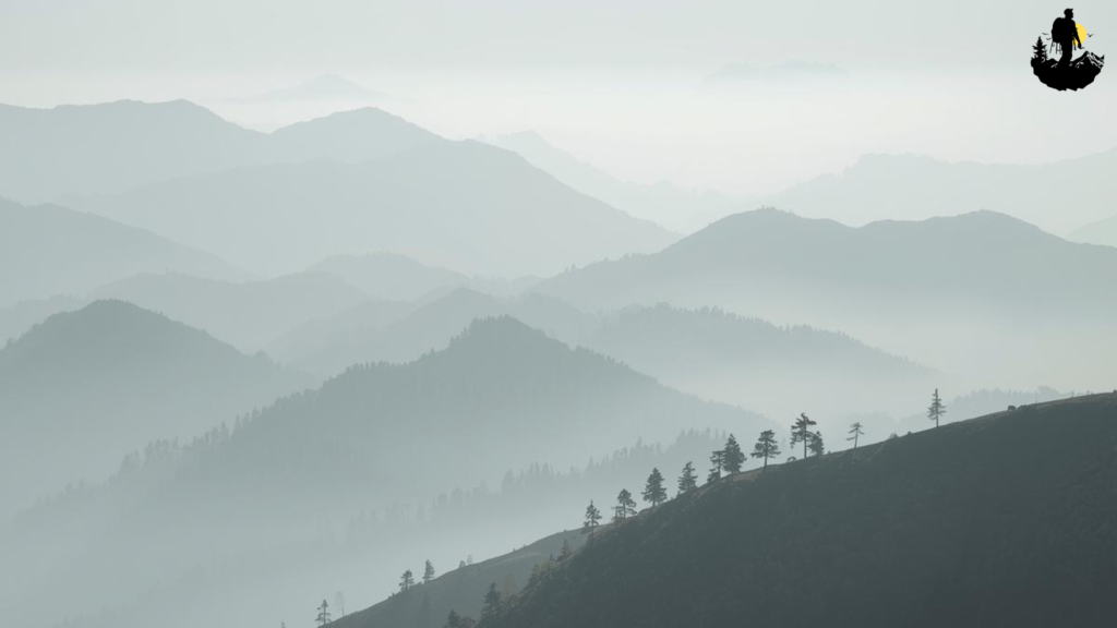 Using Long Lenses to Capture Selective Details