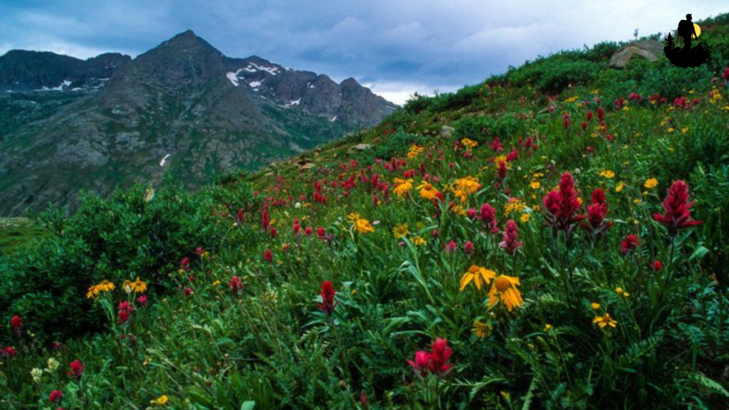 San Juan Mountains Backcountry, Colorado