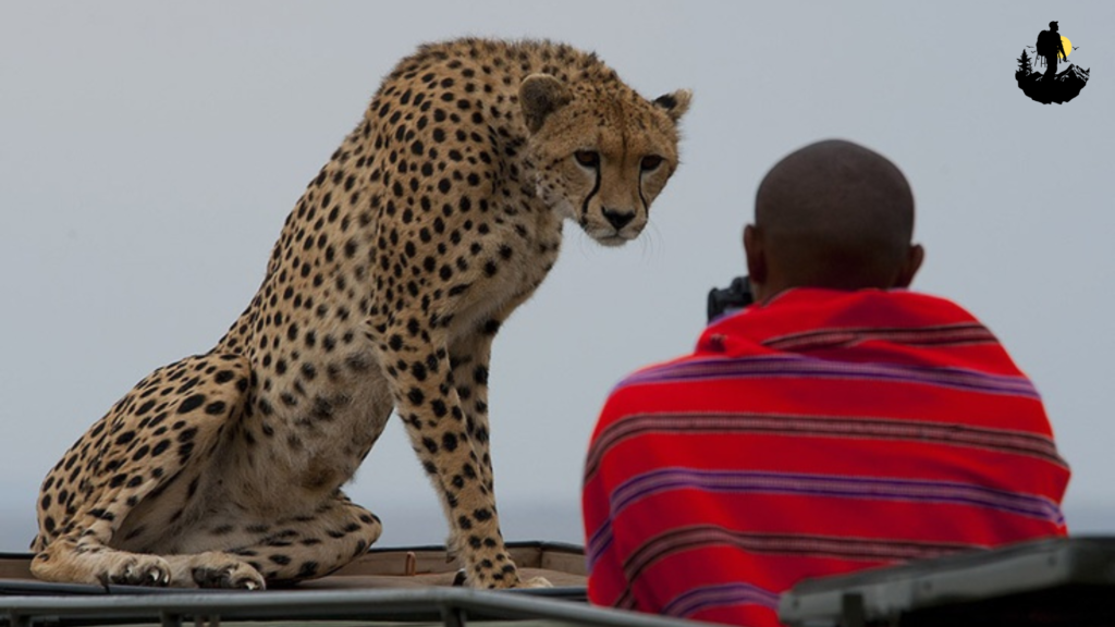 Practical Tips for Exploring Hidden National & State Parks
