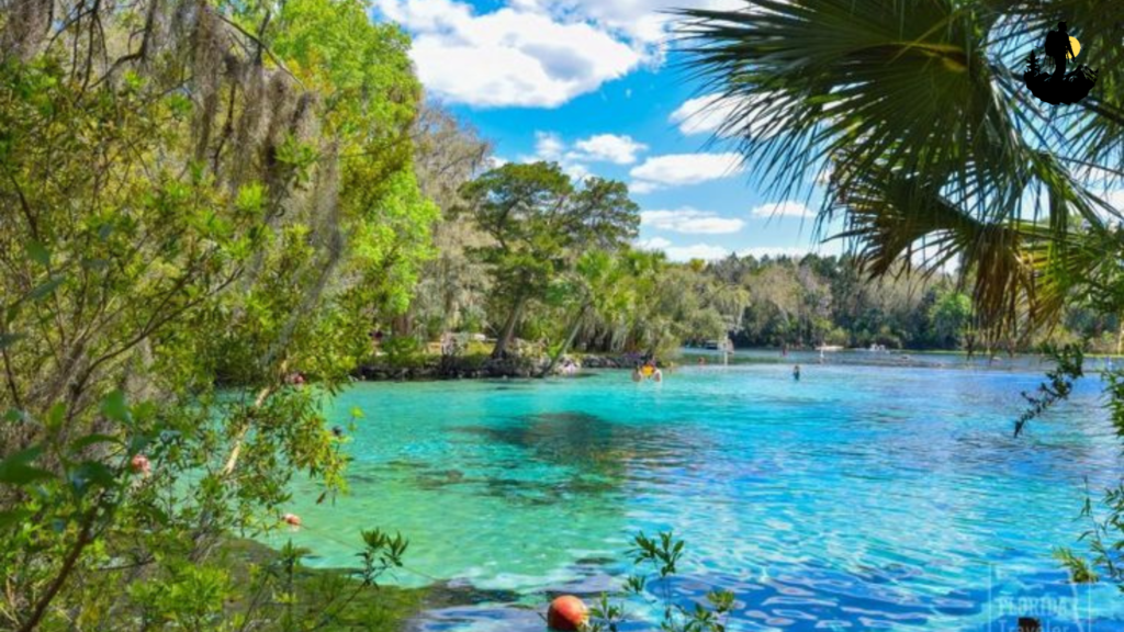 Silver Glen Springs, Florida