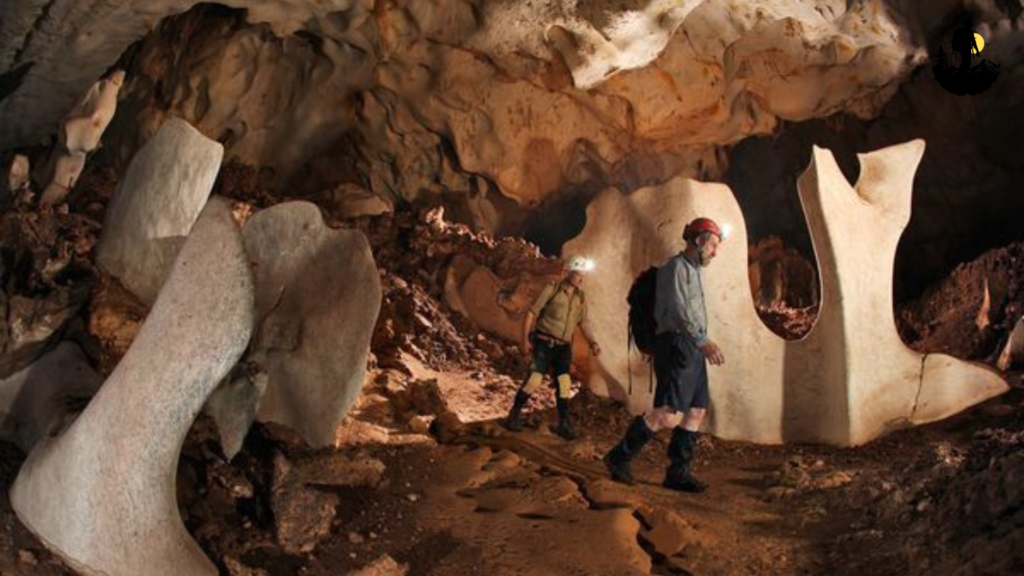 Terlingua Ghost Settlement, Texas