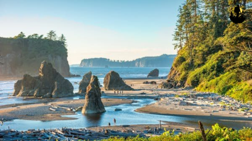 Olympic National Park, Washington