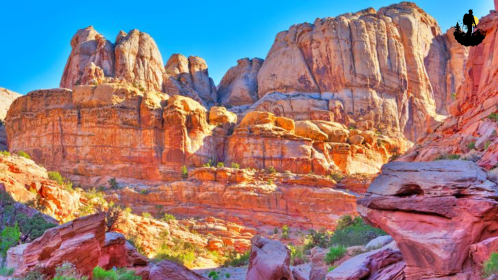 Petrified Forest National Park