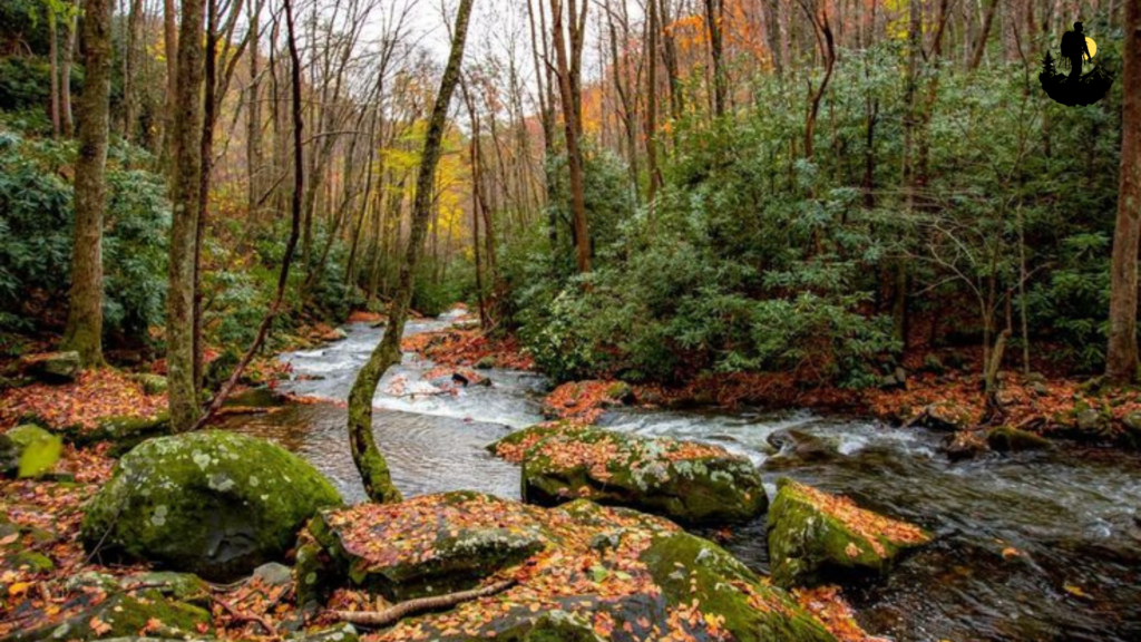 Great Smoky Mountains National Park, Tennessee and North Carolina