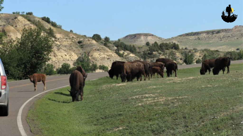 Theodore Roosevelt National Park, North Dakota