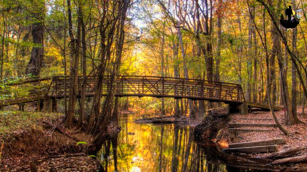 Congaree National Park, South Carolina