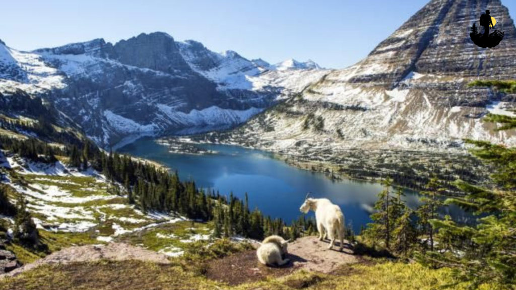 Glacier National Park, Montana