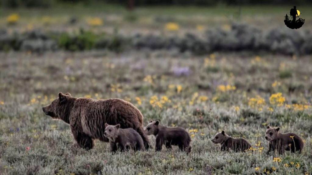 Guadalupe Mountains National Park