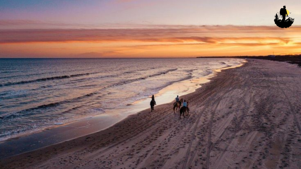 Cape San Blas, Florida