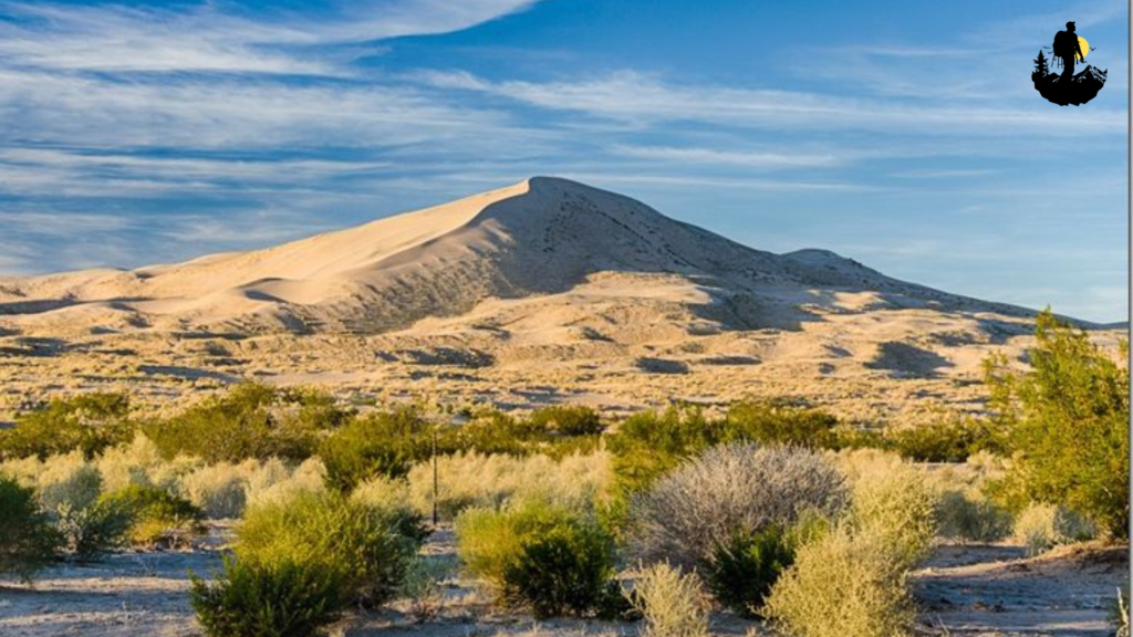 Mojave National Preserve