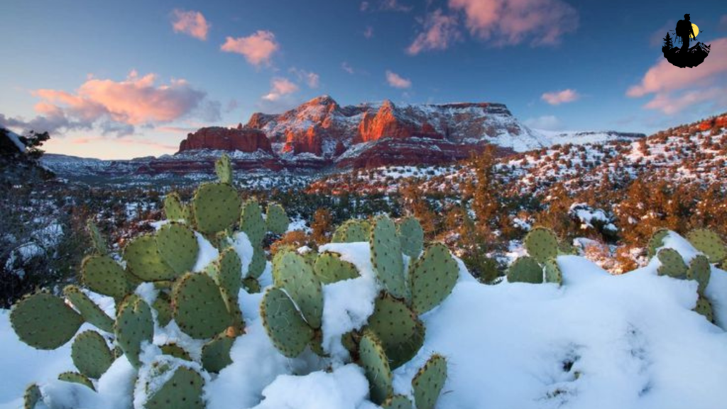 Coconino National Forest