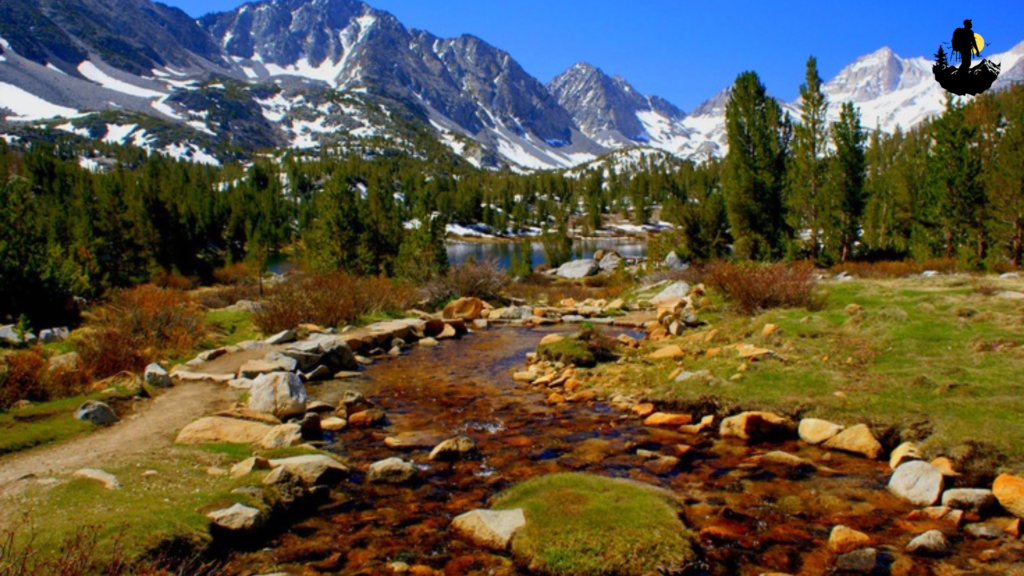 White Mountains Wilderness, California