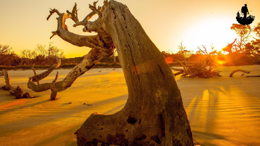 Cumberland Island History (Quick Overview)