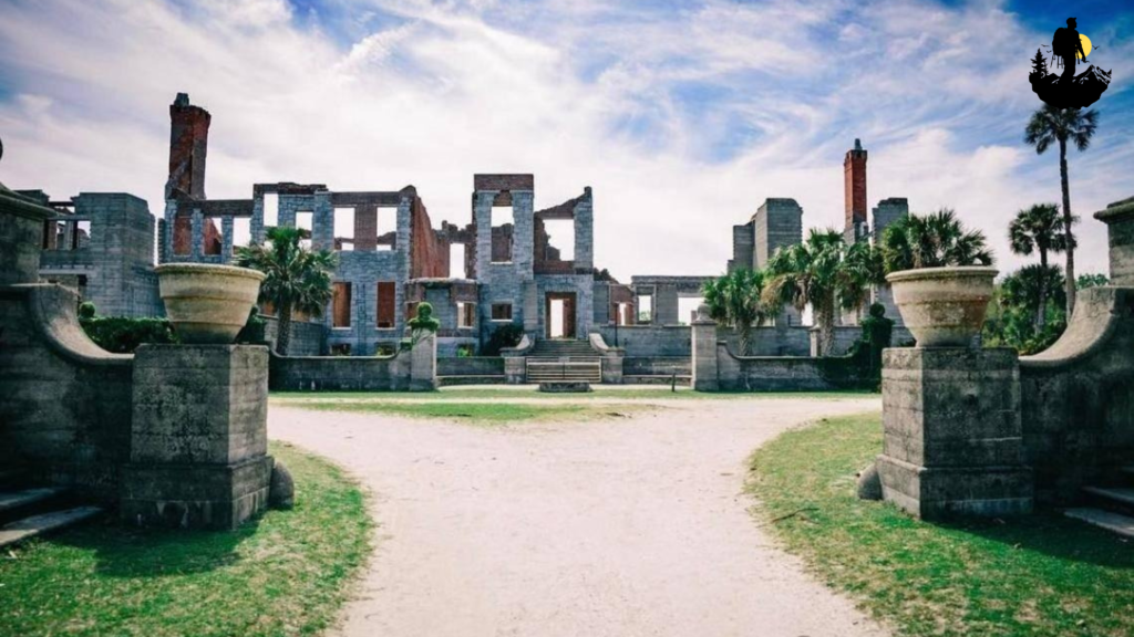 Best Time to Visit Cumberland Island
