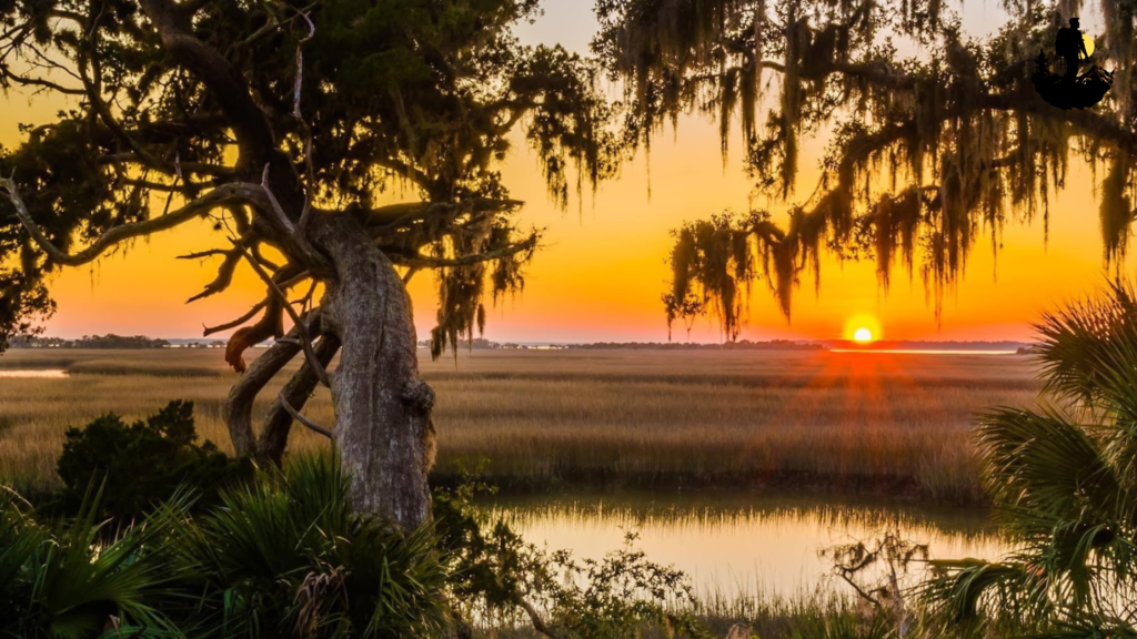 Important Travel Tips