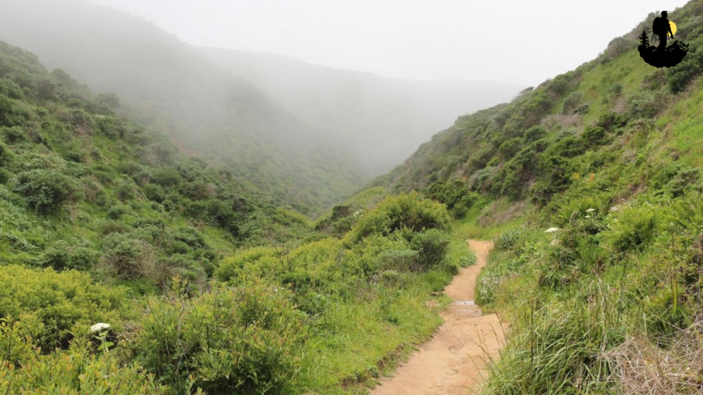 The Hike to McClures Beach